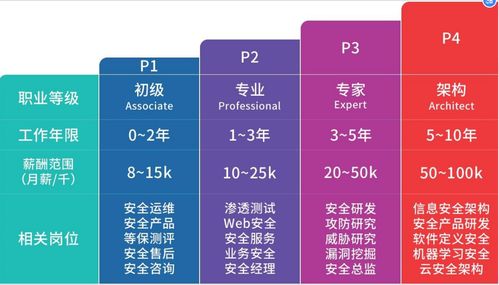 軟件工程專業實訓轉向網絡安全 聚焦網絡與信息安全軟件開發的機遇與路徑